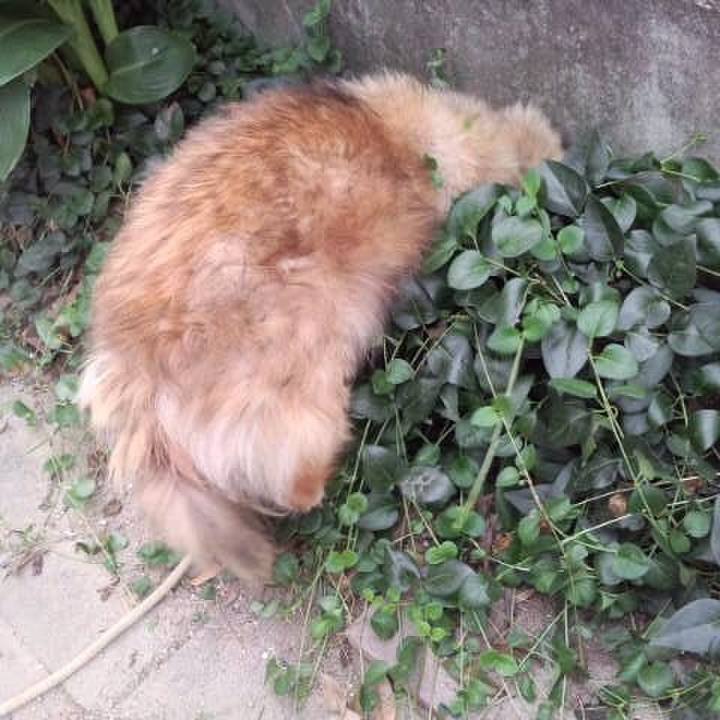 92ce369e 28b8 49eb a310 4b24b1c53bbe 1595243554509