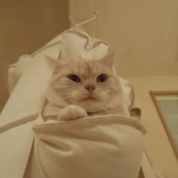 92ce579a f8ef 4baf b86e 6d892dcd3ba0 1542013365337