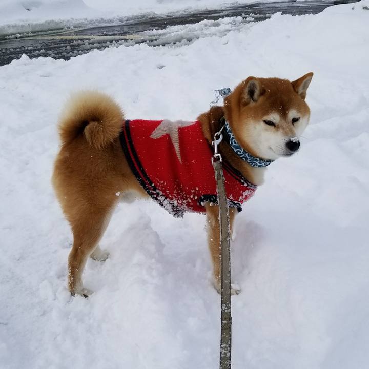 92ce6a19 fe36 4f71 aadc 21e9525ca8b9 1516948388119