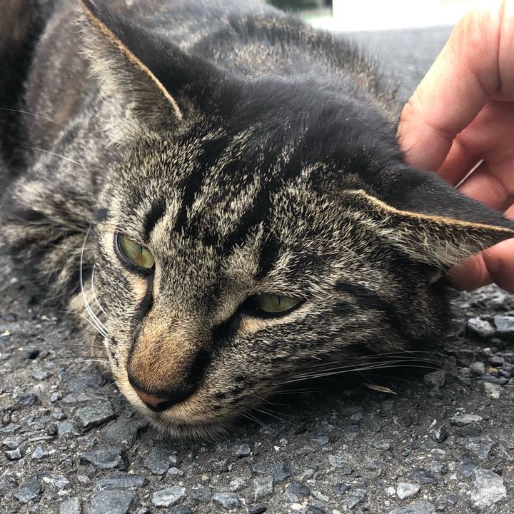 92ce75a5 3c8b 4093 a023 cbf18ec4bffd 1560604311520