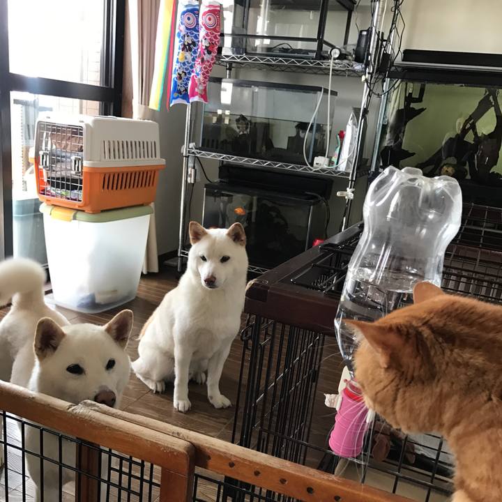 92ce7d6c 4d60 42eb beab 9145f51f57dd 1525519647145