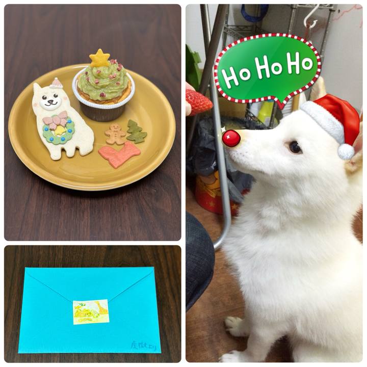 92ce8e7b fdf3 4a29 8195 f76624a924af 1703669016040