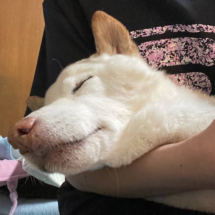 92ce96b1 b4bf 49b8 a19d 840e0b3d9c6d 1635840760616