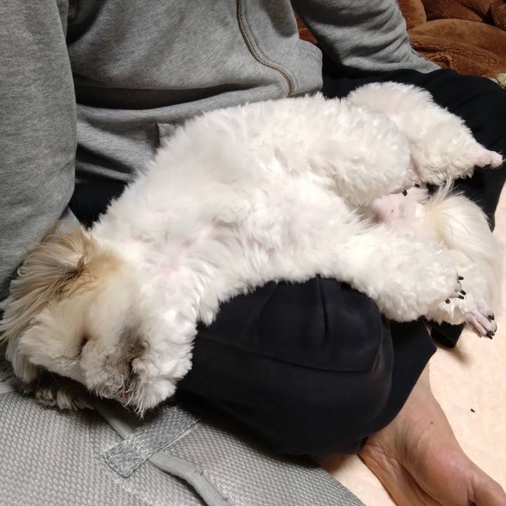 92ce9736 961e 4fb9 8cd3 f779b9f18b0d 1681819783820