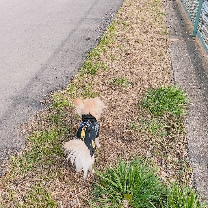 92cec259 3c5e 41e9 a8cf 9ff094217690 1614849363168