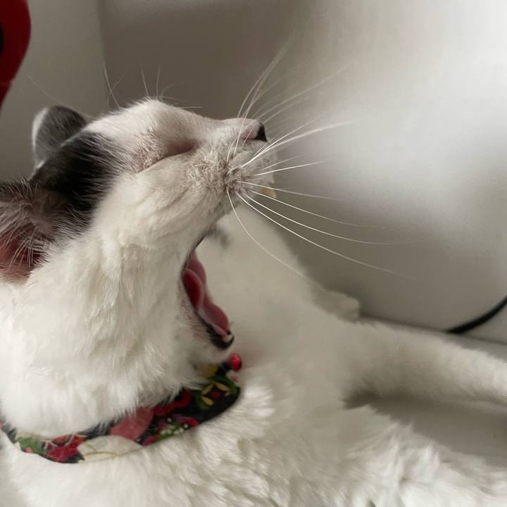 92cedcb1 195e 4f17 8634 3de2b2967421 1658878523952