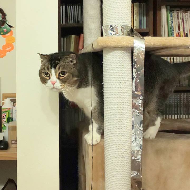 92cee9d2 65c7 44bd 8d95 45af479b9950 1705149587674