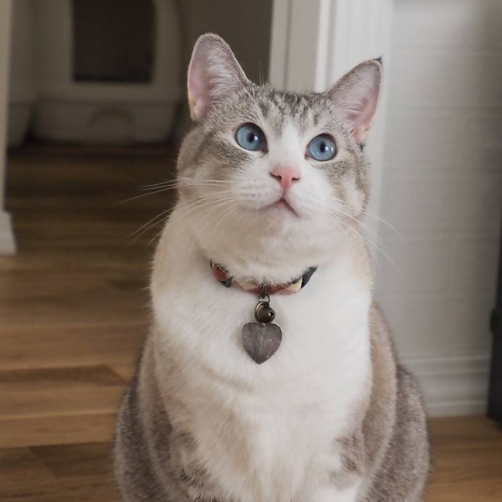 92cef493 6283 4c8a 85a9 2b11d6df5c46 1601172792823