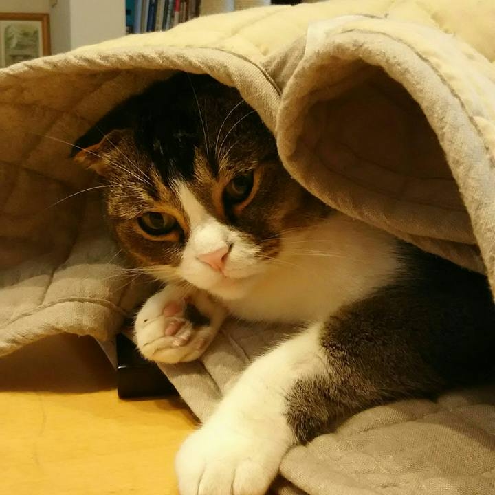 92cfd2dd 63fd 4653 97df 95afa7759df9 1517888504999