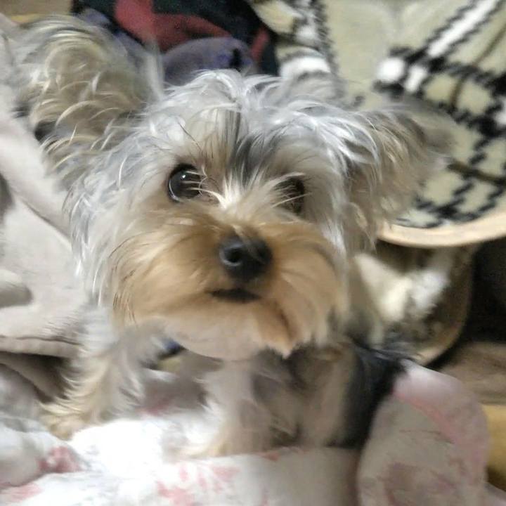 92cfd612 f475 4862 b5bf 05358b0be8b4 1542204054579