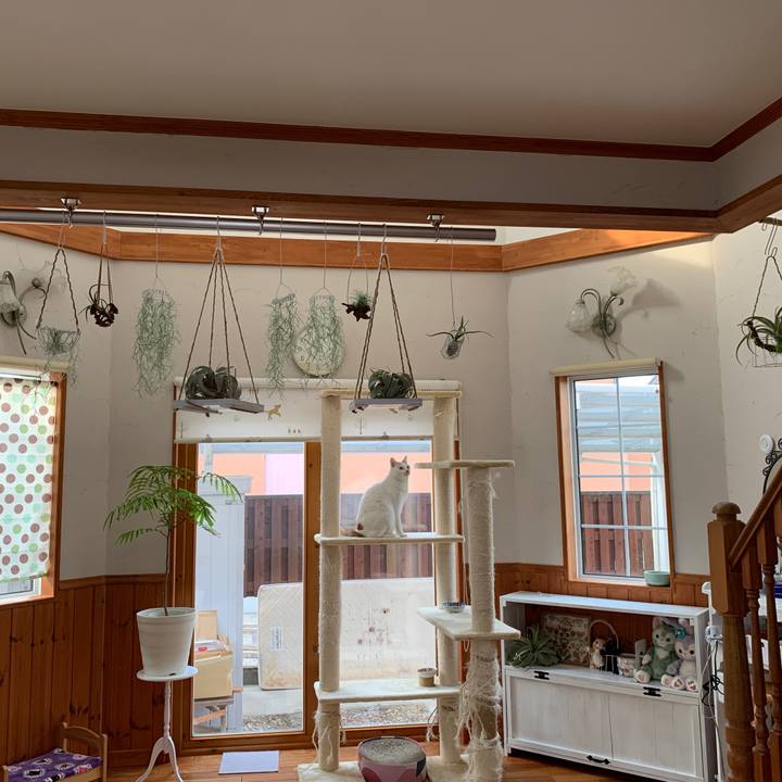 92cfdb0b 49c3 495b 9cfa daafb443fe78 1652739379578