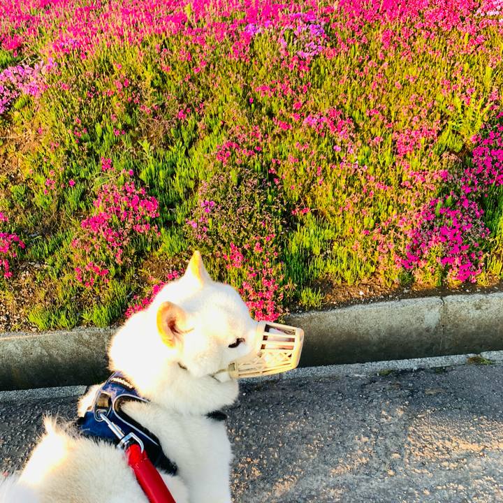 92cfdfcc 916e 4583 badc 1bd534780e98 1652645839799