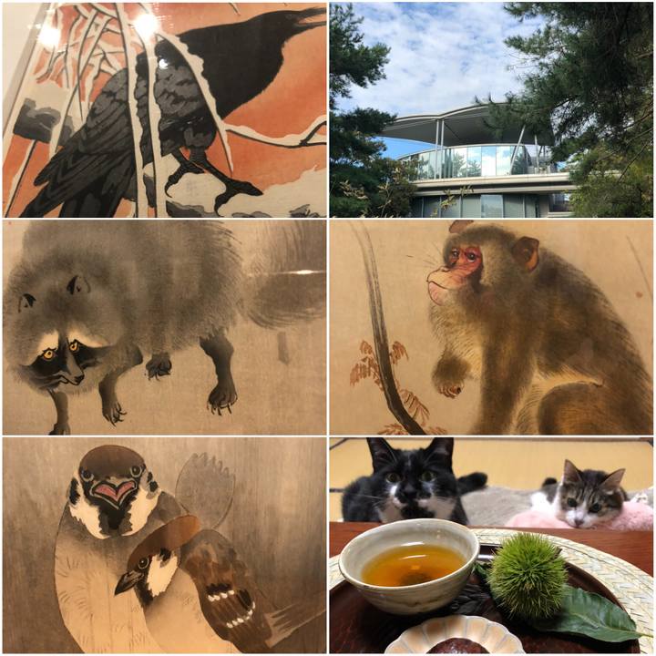 92d00897 578b 4c0f 96ac 5bca1b90fa6e 1539507298944