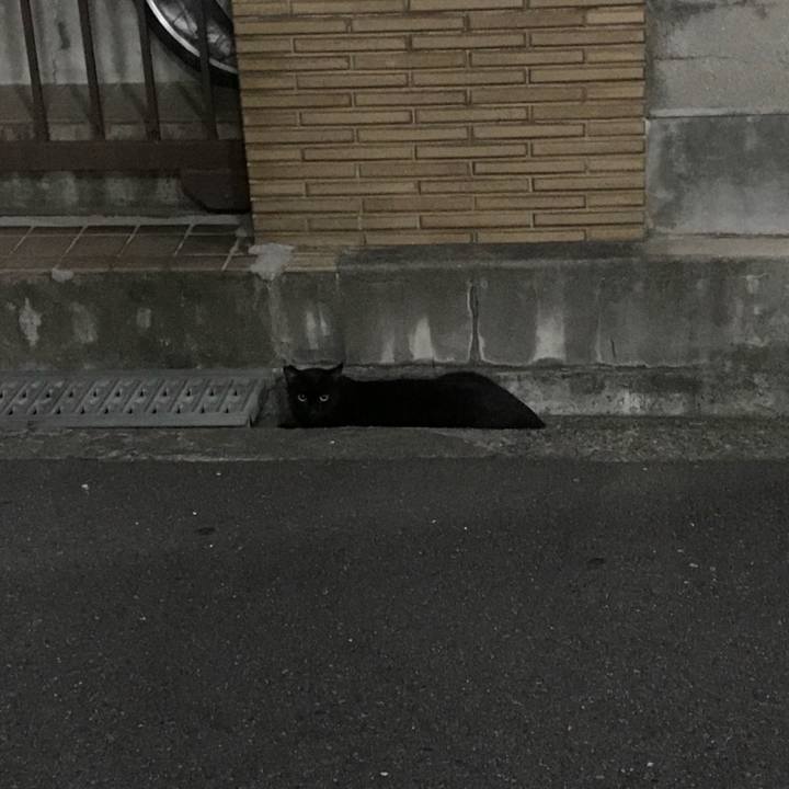 92d010c9 1420 4e11 94ae 48cb2bc4bb29 1532697812701