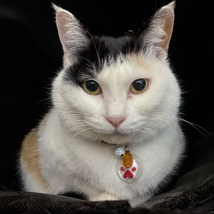 92d0238c 7595 4965 8864 96115bb89ab7 1647610330641