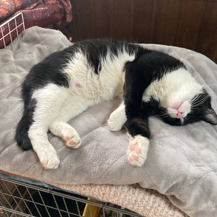 92d02468 626d 43fd ad35 d23d0bd7d343 1735098128407