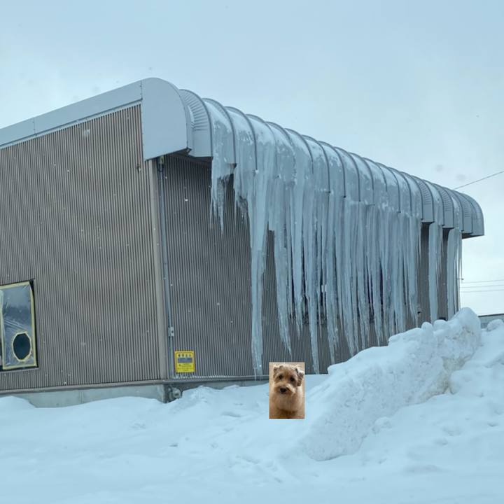 92d0376e f561 47dd bcb1 bb7f0cf959b8 1675893895128