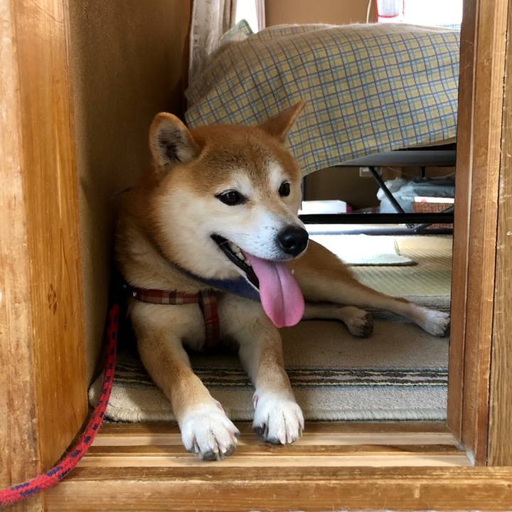 92d03b3a d19c 42be a69c 5c587afdd099 1559304087852