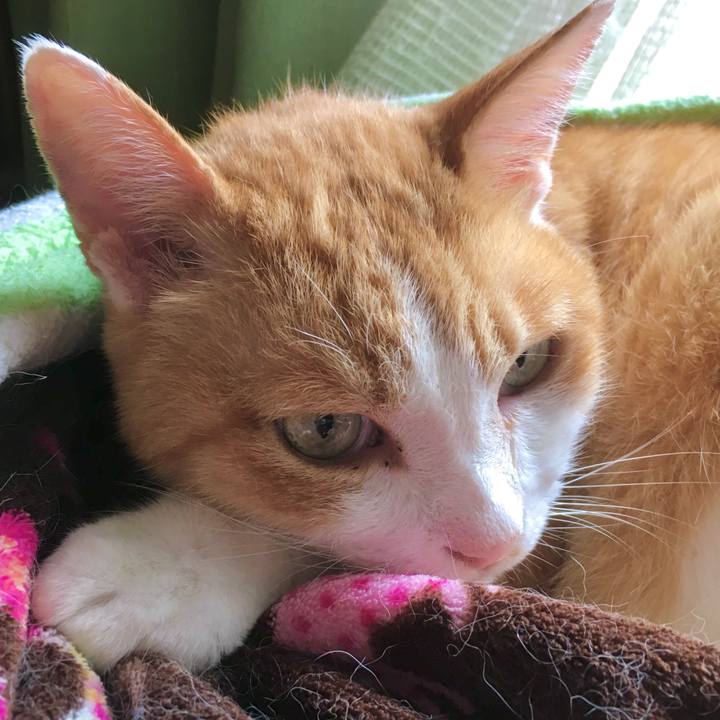 92d04f52 4523 4634 a6f2 3b53f09cede3 1601713080431