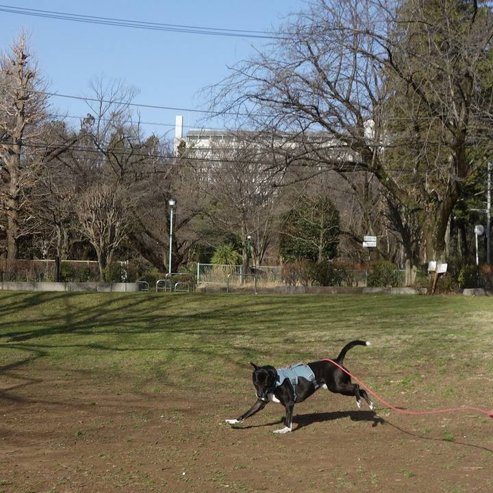 92d06081 1b7b 4ea3 a58c 495c8f78370b 1710723610575