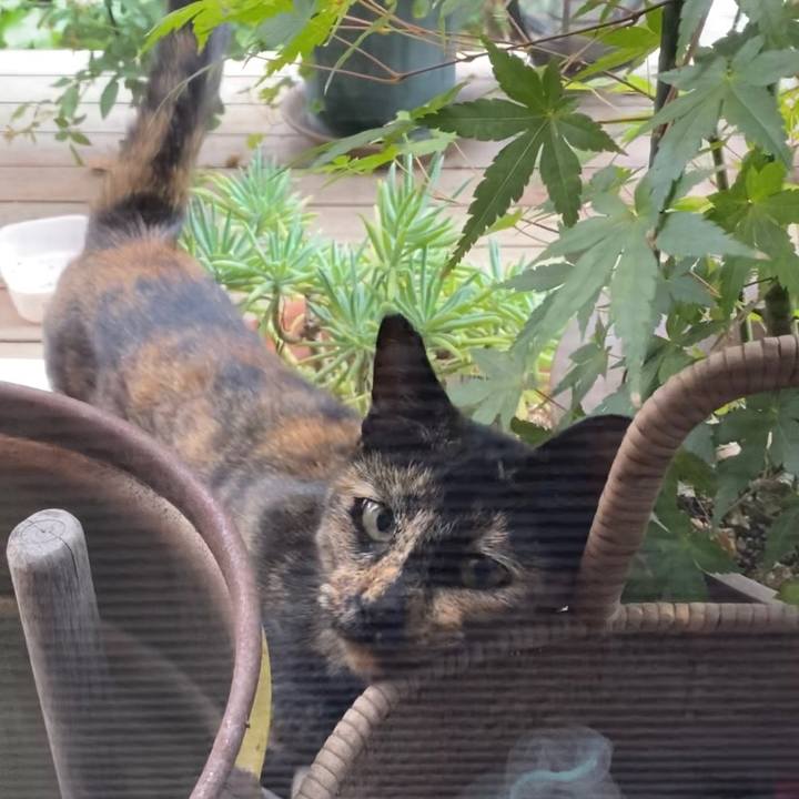 92d07514 4f01 415a b7cc a34da9afe31c 1602026635791