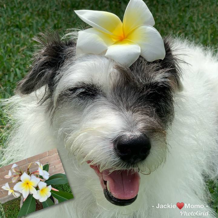 92d07645 9958 4734 8655 66eb8f53fcc7 1589667937316