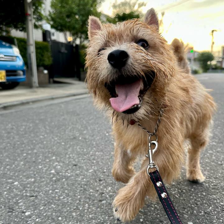 92d089f1 9797 4b56 ae55 a2bfb5906d74 1725655756372