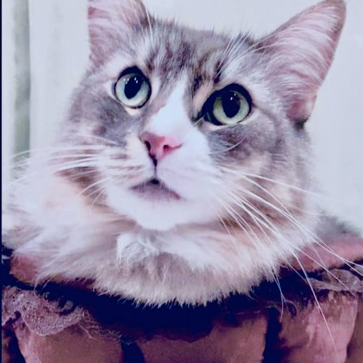 92d0acc2 269c 49af 8d61 9b7a5021131d 1751911014872