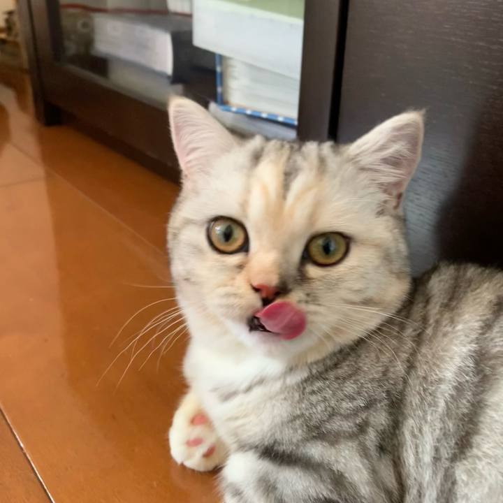 92d0c6fb 7594 400e 9bb7 cf3a0a352572 1705210423656