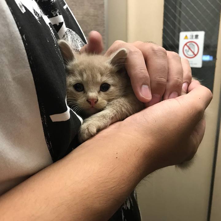 92d0d1dc 6961 4c6b b57d 48f293f7a605 1540519763929