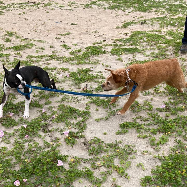 92d1683f 1466 4dcf bb8c 1fcc5736581b 1652320875158