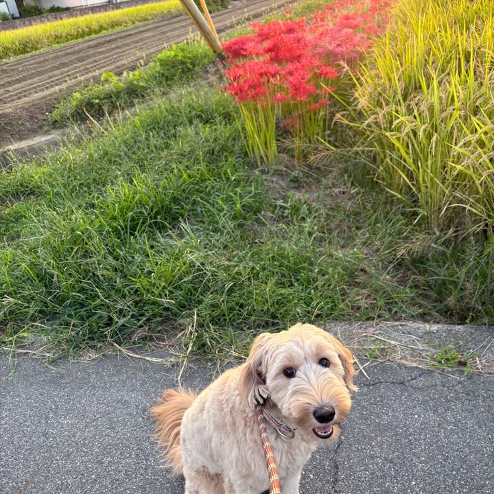 92d17121 3c3a 4623 983c 99afb8ddfc03 1759308854230