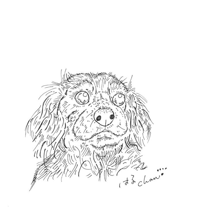 92d19451 80d2 4f67 b0e7 78b3a250608f 1585490723789