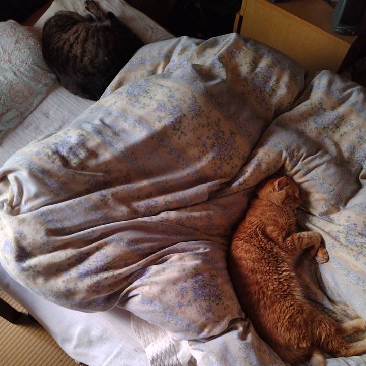 92d1a274 ad5c 4374 bd93 d8611870e8af 1686092469927