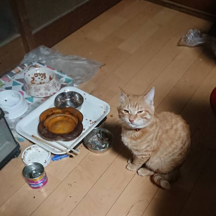 92d230d5 1bb7 447d ad01 fd11ca328757 1636748667193