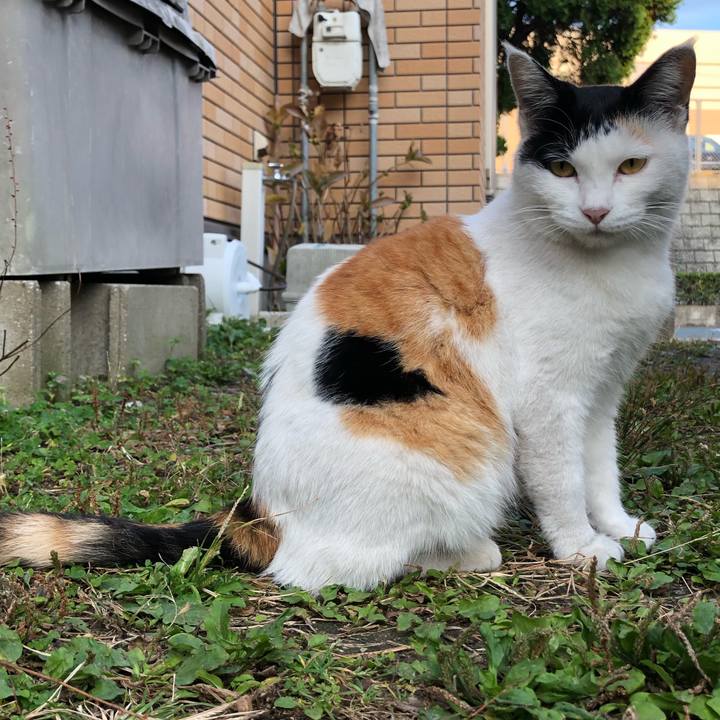 92d294b9 257e 4e0c ba4e ca24907b53ae 1604009989599