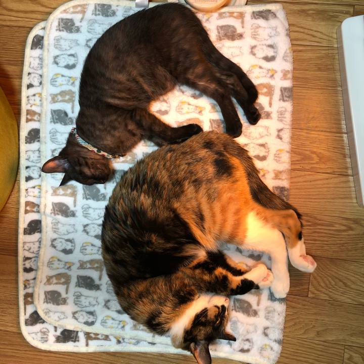 92d2ced8 cb4a 4ffb a56c 9344f0868db8 1611242334997