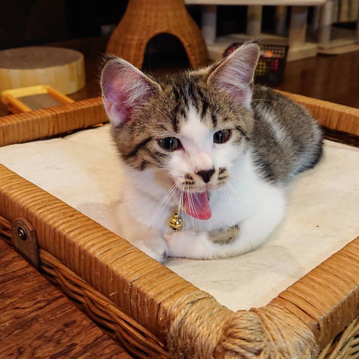 92d2d6f4 6c41 4c5d bd1e 61b7139b39ed 1542512551084