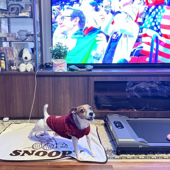 92d2e64a 6856 48d3 bf41 ff3b041a18cd 1770587686684