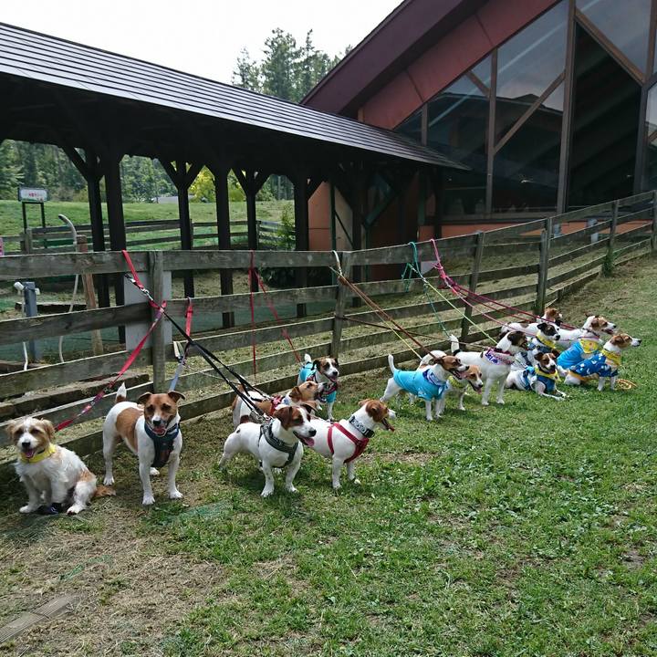 92d2eac1 82b6 48ad 947b f1ff7392676e 1566716429025