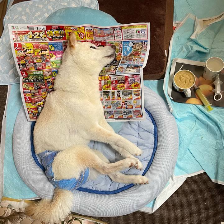 92d2fd29 3680 4de0 b15a f02a19e3abce 1656679574360