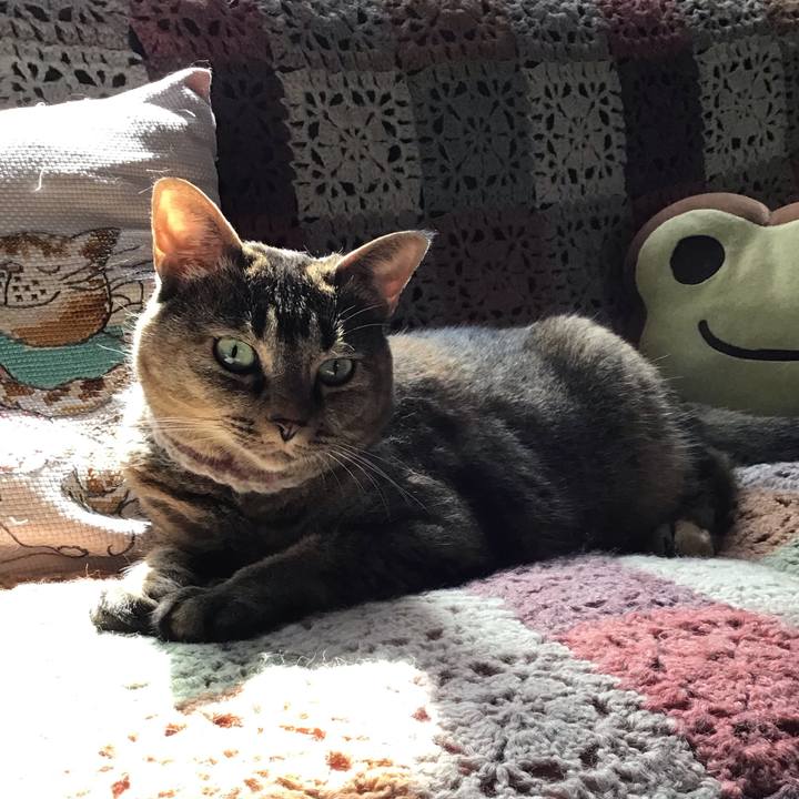 92d30042 15eb 4206 909e db4531922513 1722852734620