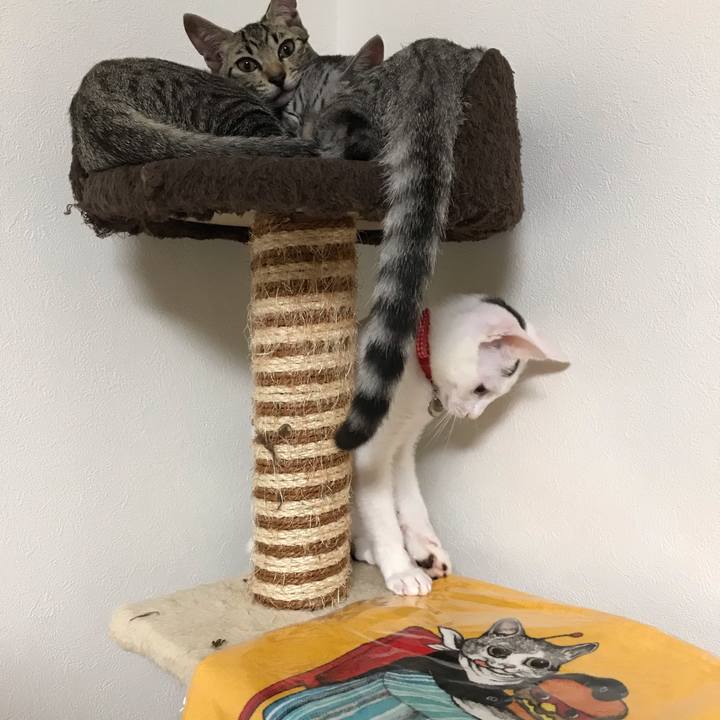 92d34e16 1e6c 4900 97ad 3e9a3d08b8f9 1566438299232