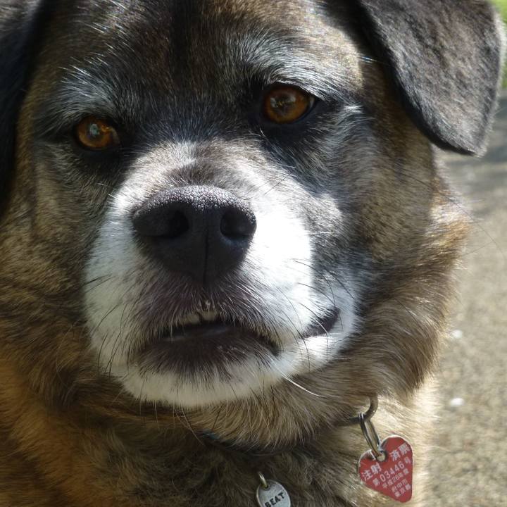 92d396bc 1931 44ab af8b 2b9a7209834a 1581747357669