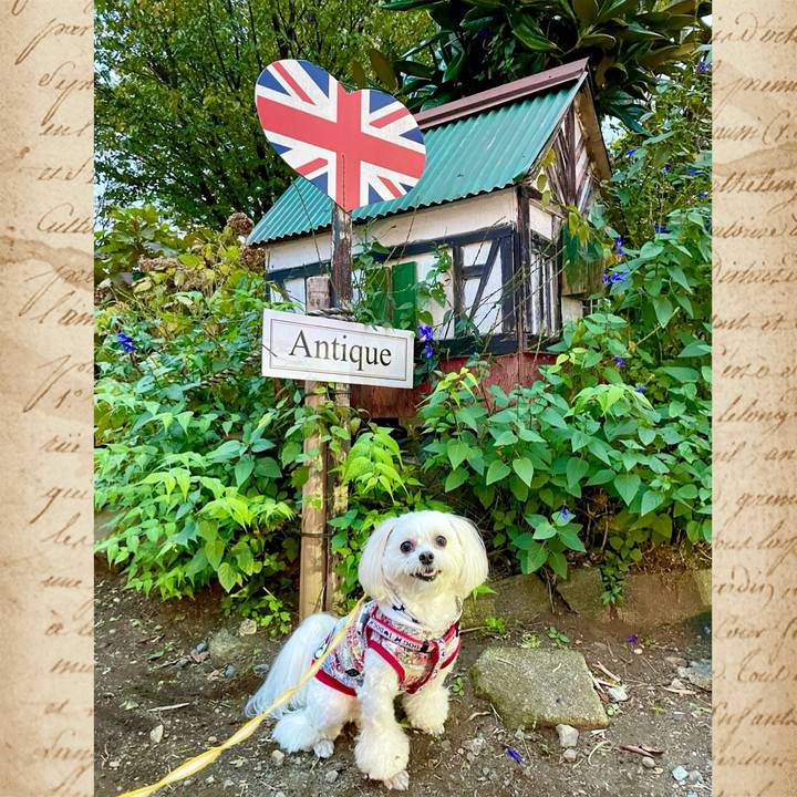 92d40551 931a 4986 983b 55ae75250cc6 1636338049068