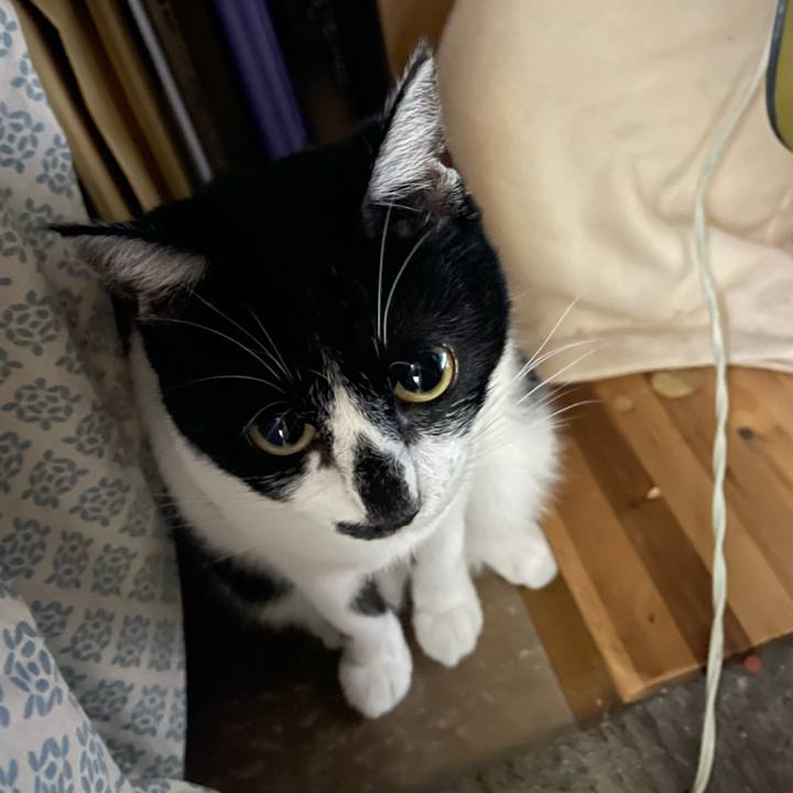 92d437b1 12b5 46e9 a780 6c1734b0550b 1755730298778