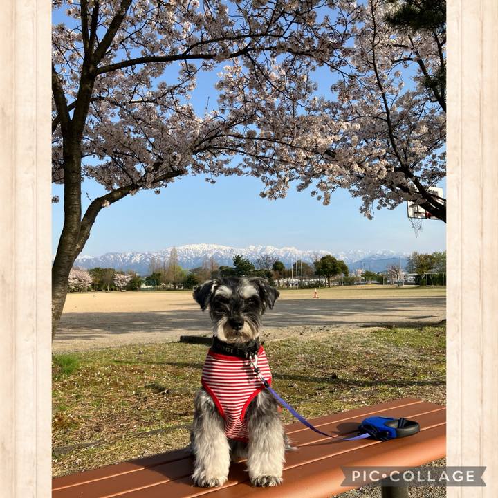 92d441b4 7379 4763 980e 17fcfdef2b07 1713186399544