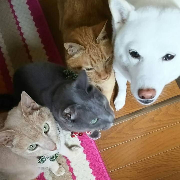 92d46037 773b 4865 a21b aa8c4c3ce09d 1532395307698