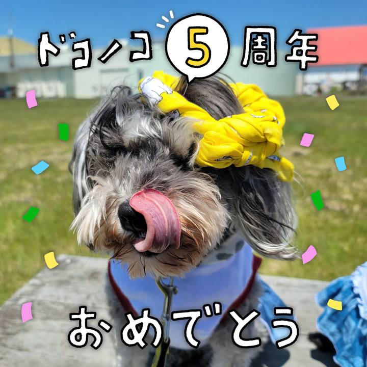 92d46f10 11c4 4acc 9c3e 4fb6e50a96fe 1622860157548