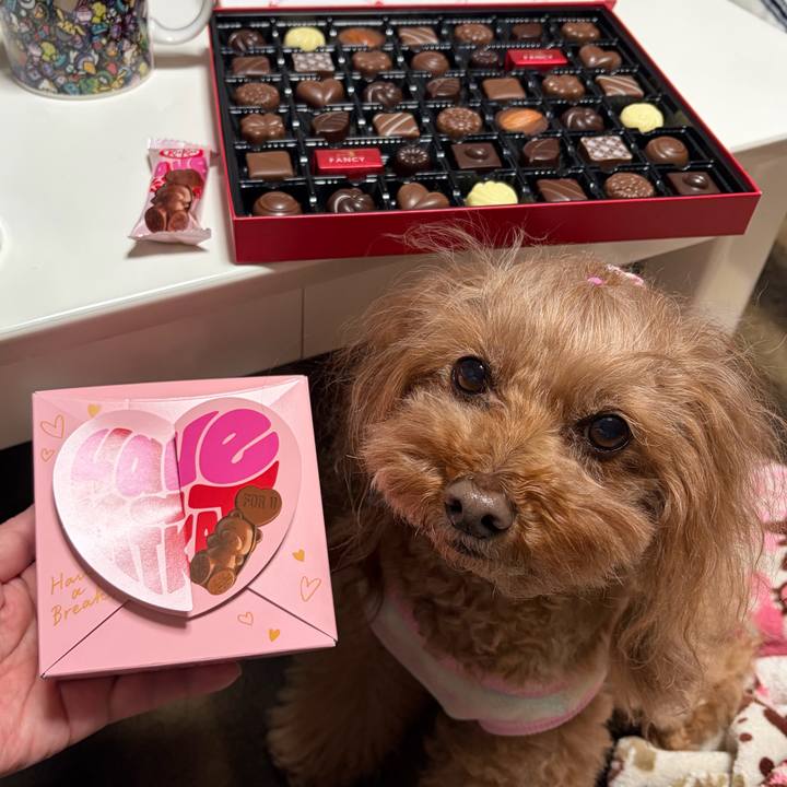 92d4851d 0d24 4816 bf42 9819281bfaac 1770637440988